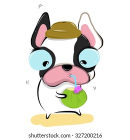 vector illustration of cute coconut-bulldog  cartoon  drawing style