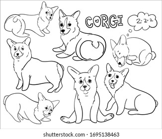 Vektorillustration-Illustration süßer Corgis-Umrisse, Doodle-Stil