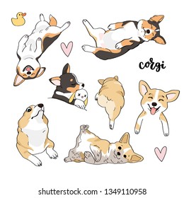 Vector illustration. Cute corgis on white background, isolated objects 