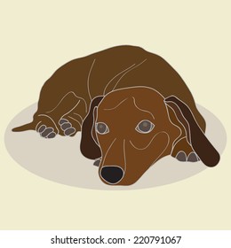 Vector illustration with cute dachshund
