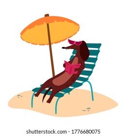 A vector illustration of a cute Dachshund wiener dog with sun umbrella and a book on a beach