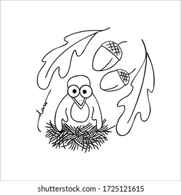Vector illustration. Cute daw on oak leafs and acorns. Can use for coloring book