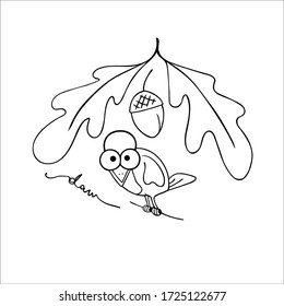 Vector illustration. Cute daw on oak leafs and acorns. Can use for coloring book