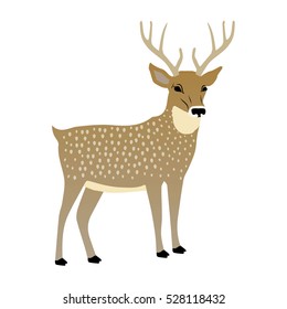 Vector illustration of a cute deer.