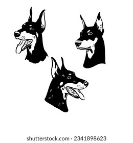 Vector illustration of cute doberman cartoon