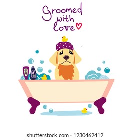 Vector illustration of cute dog in the bath with foam and shampoos and handwritten phrase Groomed with love. Hand drawn pet care illustration
