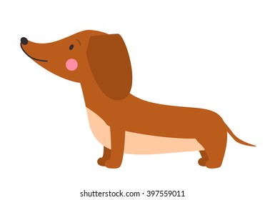 Vector illustration of cute dog dachshund. Nice puppy for greeting card, pet shop or veterinary clinics. Dog dachshund standing in profile 