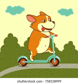 Vector illustration, cute dog on kick scooter