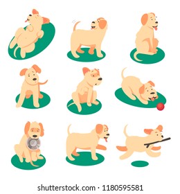 Vector illustration of cute dog playing with various objects