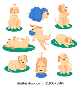 Vector illustration of cute dog playing with various objects