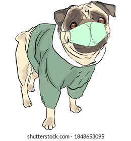 Vector illustration of a cute dog of the pug breed in clothes and a mask on a white background. Blank for designers, postcard, logo, clothing, textiles, bedding, pet shop