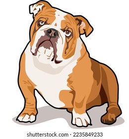 
vector illustration of a cute dog in a sitting position