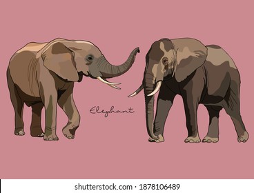 Ilustración vectorial de un elefante lindo