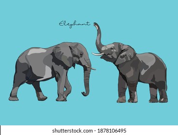 Ilustración vectorial de un elefante lindo