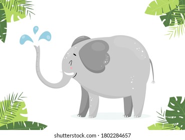 Vector illustration of cute elephant with water drops. African animal character