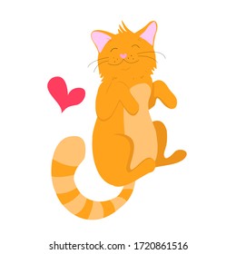 vector illustration of a cute fat red cat sleeping