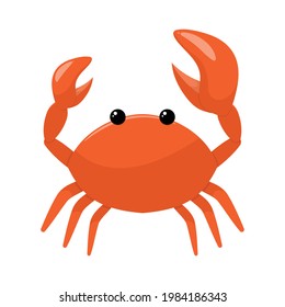 Vector illustration of cute flat crab. Isolated on a white background.