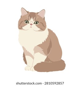 Vector Illustration of a Cute Fluffy Exotic Shorthair Cat Sitting Calmly Isolated on White Background