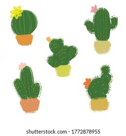 vector illustration of cute fluffy  green cactuses on a white background with flowers hand draw