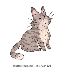 Vector illustration with a cute fluffy sitting striped gray cat with a sad look. Funny pet Kawaii sticker on white background