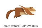 vector illustration of a cute flying squirrel gliding through the air with brown fur and white accents in flat design style isolated on white background