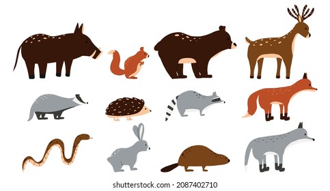 Vector illustration of cute forest animals. Vector set of forest animals. Fox, wolf, hare, raccoon, badger, deer, beaver. Woodland forest animals.