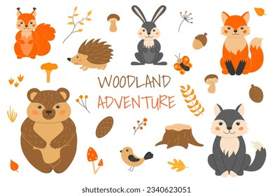 Ilustración vectorial con lindos animales del bosque al estilo de las caricaturas. ardilla, zorro, lobo, oso, erizo, mariposa, pájaro. Twigs, conos, bellota, hojas, pasto. Otoño en el bosque.