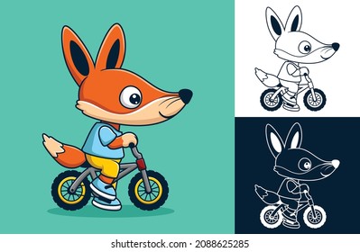 Vector illustration of cute fox cartoon riding a bike