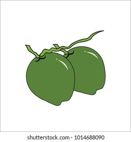 Vector illustration of cute Fruit. Coconut, White background icon vector illustration.