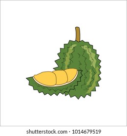 Vector illustration of cute Fruit. Durian, White background icon vector illustration.