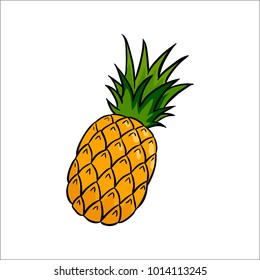 Vector illustration of cute Fruit. Pineapple, White background icon vector illustration.