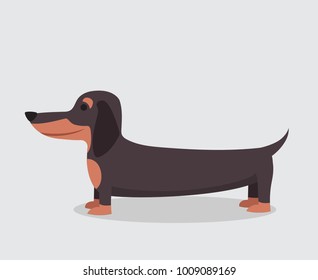Cartoon Dachshund High Res Stock Images Shutterstock