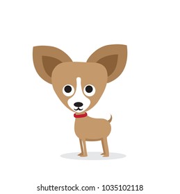 Vector illustration of cute and funny cartoon chihuahua dog in a flat style