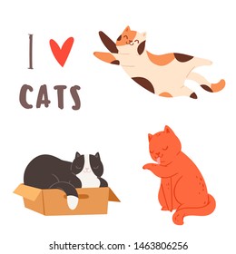 Vector illustration of cute funny cats sitting, playing, lying, stretching. Collection of adorable pretty purebred pet animals hand drawn in cartoon style on white background.