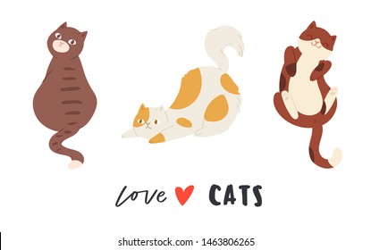 Vector illustration of cute funny cats sitting, playing, lying, stretching. Collection of adorable pretty purebred pet animals hand drawn in cartoon style on white background.