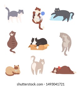 Vector illustration of cute funny cats sitting, playing, lying, stretching. Collection of adorable pretty purebred pet animals hand drawn in cartoon style on white background