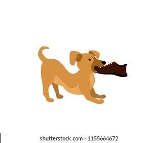 vector illustration of a cute funny dog chewing an owner shoe