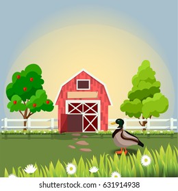 Vector illustration of a cute funny duck on farm with fruit trees and chamomile, Farm animals collection