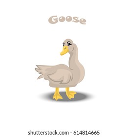Vector illustration of a cute funny goose with shadow, farm animal