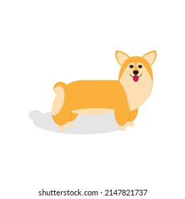 Vector illustration of cute funny happy dog breed Welsh Corgi Pembroke. Cartoon character isolated on white background. It can be used for t-shirt, mug, sticker, poster and other design