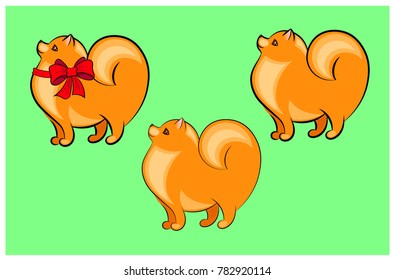 Vector illustration of a cute and funny Pomeranian Spitz
