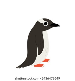 Vector illustration of cute gentoo penguin isolated on white background.