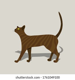 Vector illustration with cute ginger cat on beige background. 
