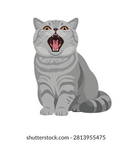 Vector illustration of a cute gray British Shorthair cat yawning with mouth wide open on white background