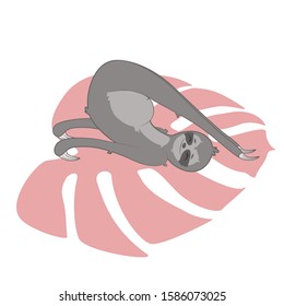 Vector illustration with a cute gray cartoon sloth in a "Plow" yoga pose on the pink monstera leaf mat. 