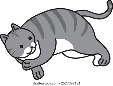 vector illustration cute gray cat