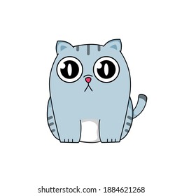 Vector illustration of cute gray kitten with compassionate expression on its brilliant eyes while sitting still.