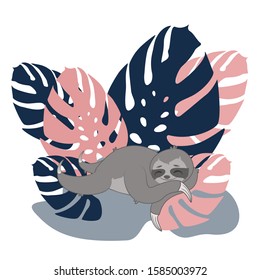 Vector illustration of a cute gray sleeping sloth with blue and pink monstera leaves background.