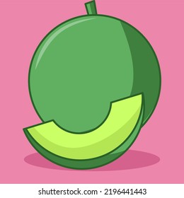 Ilustración vectorial de una linda fruta de melón verde