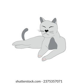 Vector illustration of cute grey cat. Sleeping domestic cat. Design for veterinary clinic, pet shop advertising